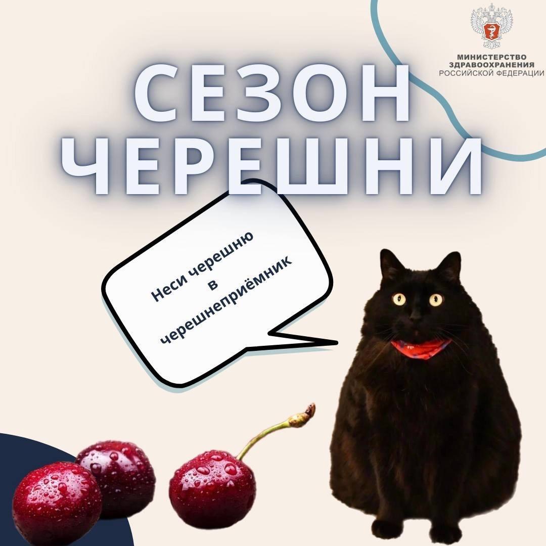 Чем полезна черешня и сколько её можно съесть без вреда для здоровья