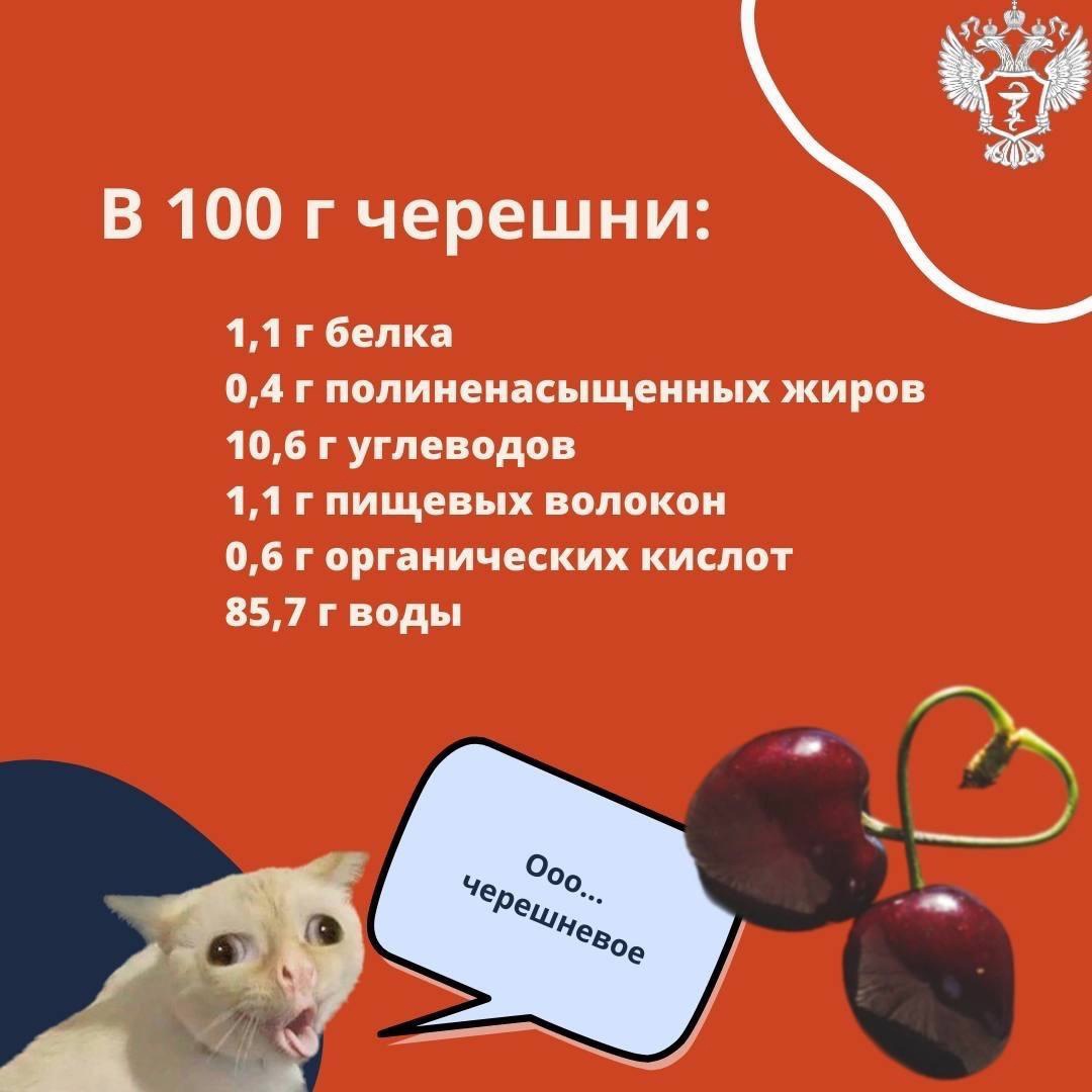 Чем полезна черешня и сколько её можно съесть без вреда для здоровья