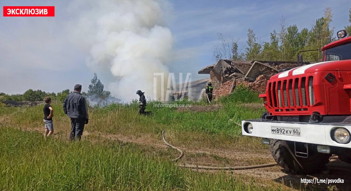 Возгорание мусора произошло у заброшенного склада в городе Дно 