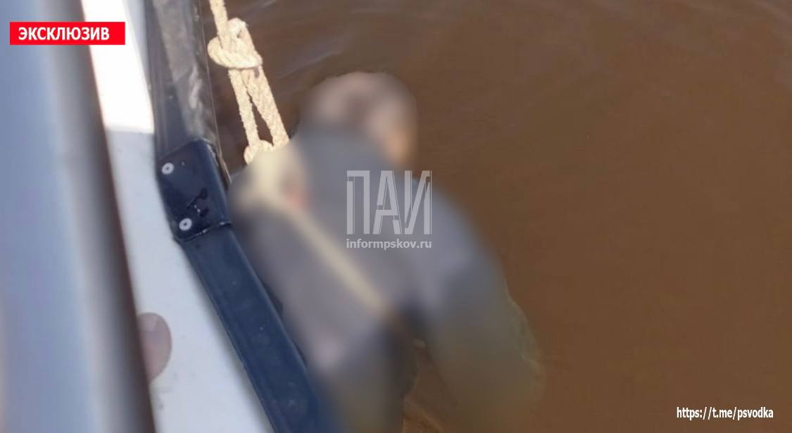 Тело пенсионера обнаружили в Псковском озере
