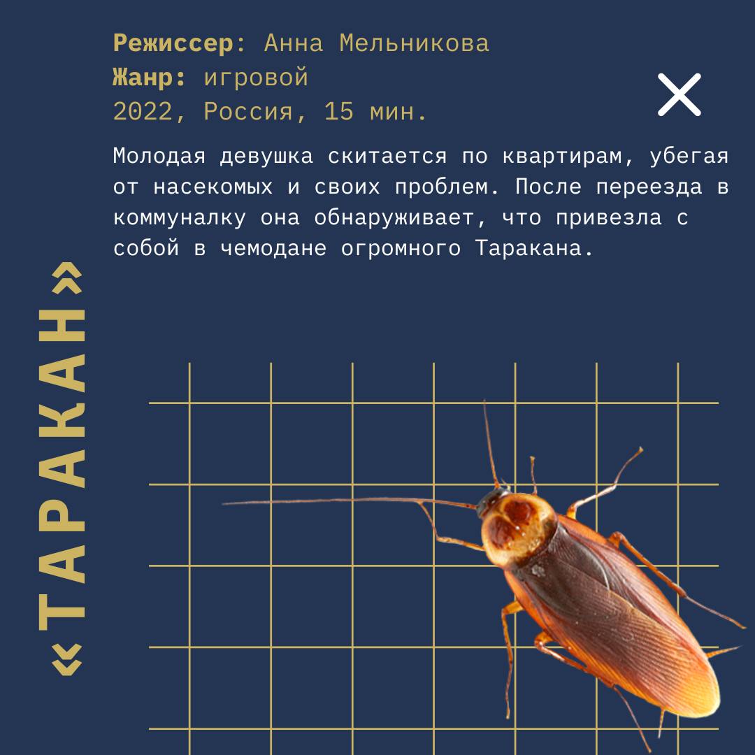 Короткометражные фильмы вне конкурса 