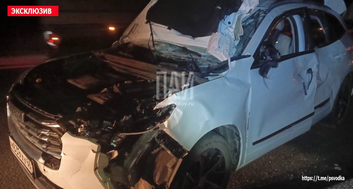 Автомобиль столкнулся с лосем в Пустошкинском районе