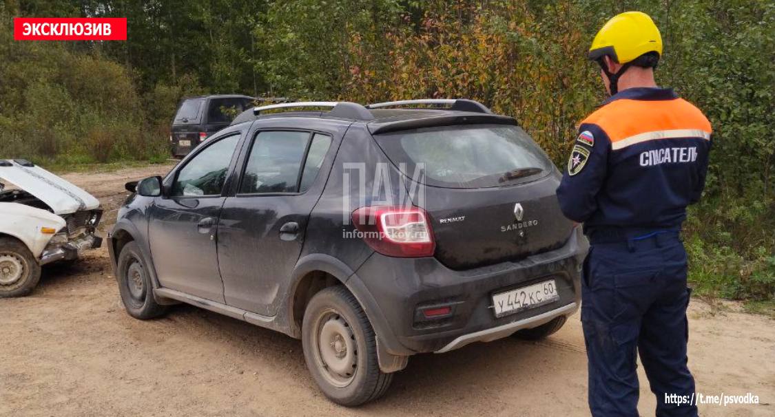Лобовое столкновение автомобилей Renault Sandero и «ВАЗ-2106» в Гдовском районе