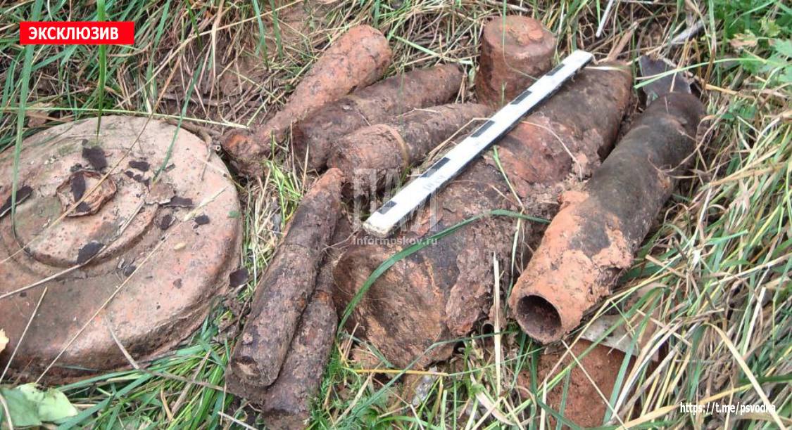 10 взрывоопасных боеприпасов времён ВОВ обнаружили в Новосокольническом районе