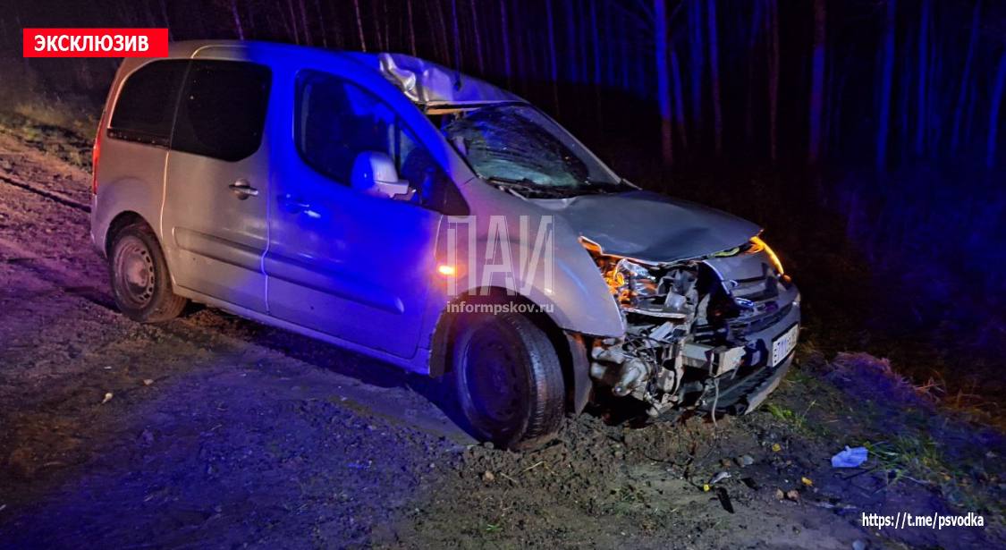 Велосипедистка погибла после ДТП в Опочецком районе