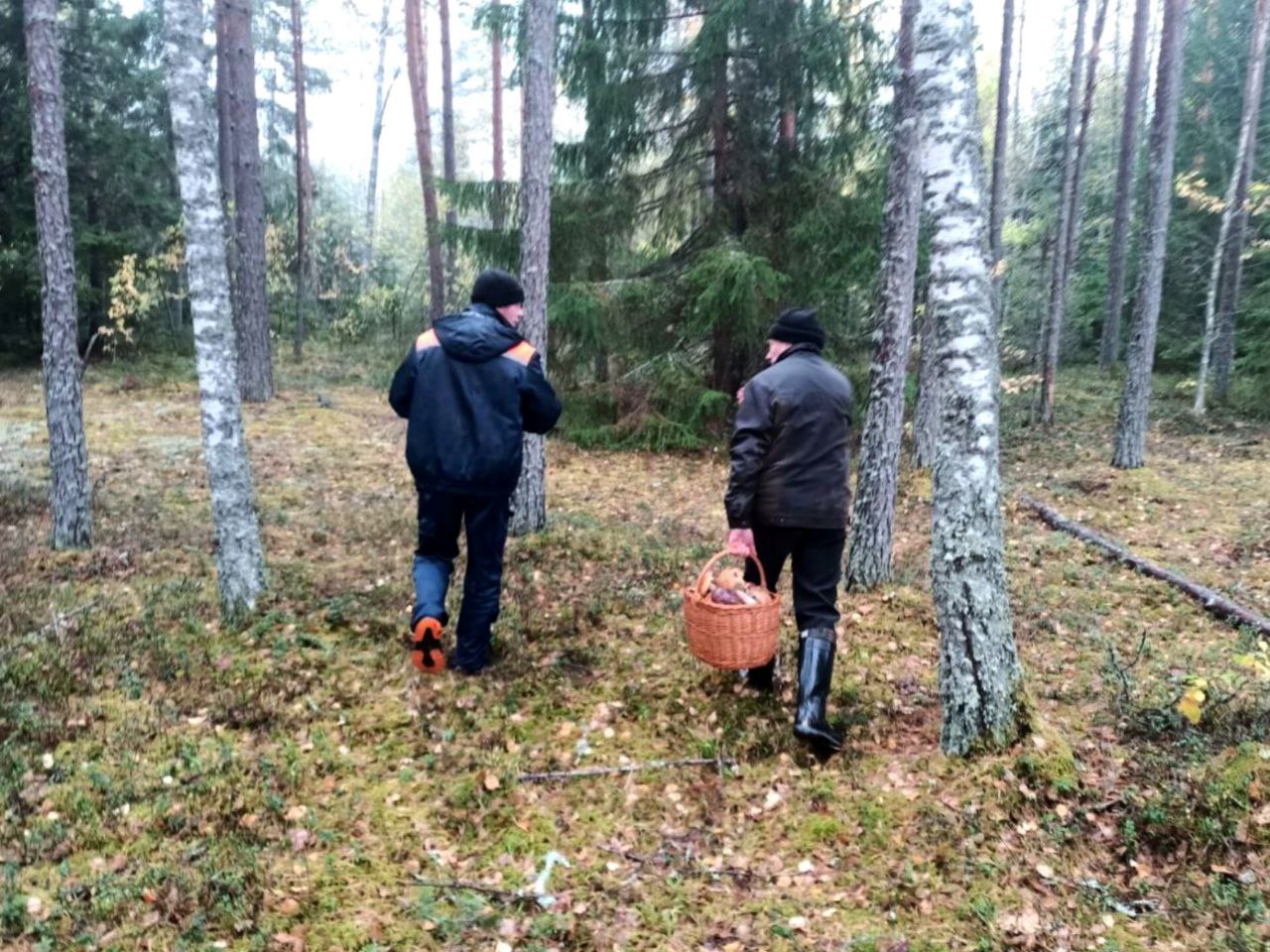 Спасатели нашли потерявшегося в печорском лесу грибника менее, чем за сутки