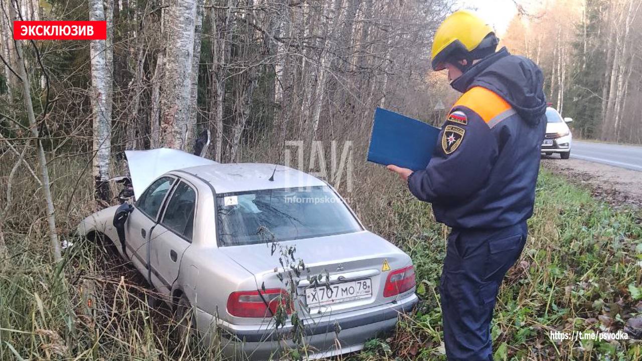 Автомобиль вылетел в кювет в Гдовском районе