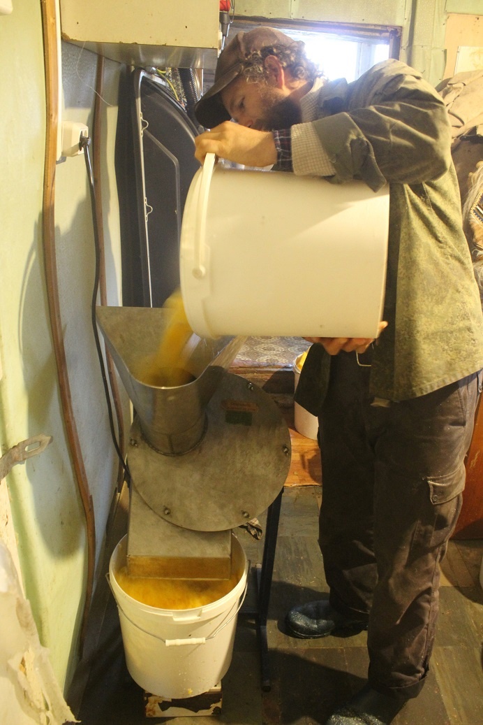Процесс получения сока из тыквы-гиганта