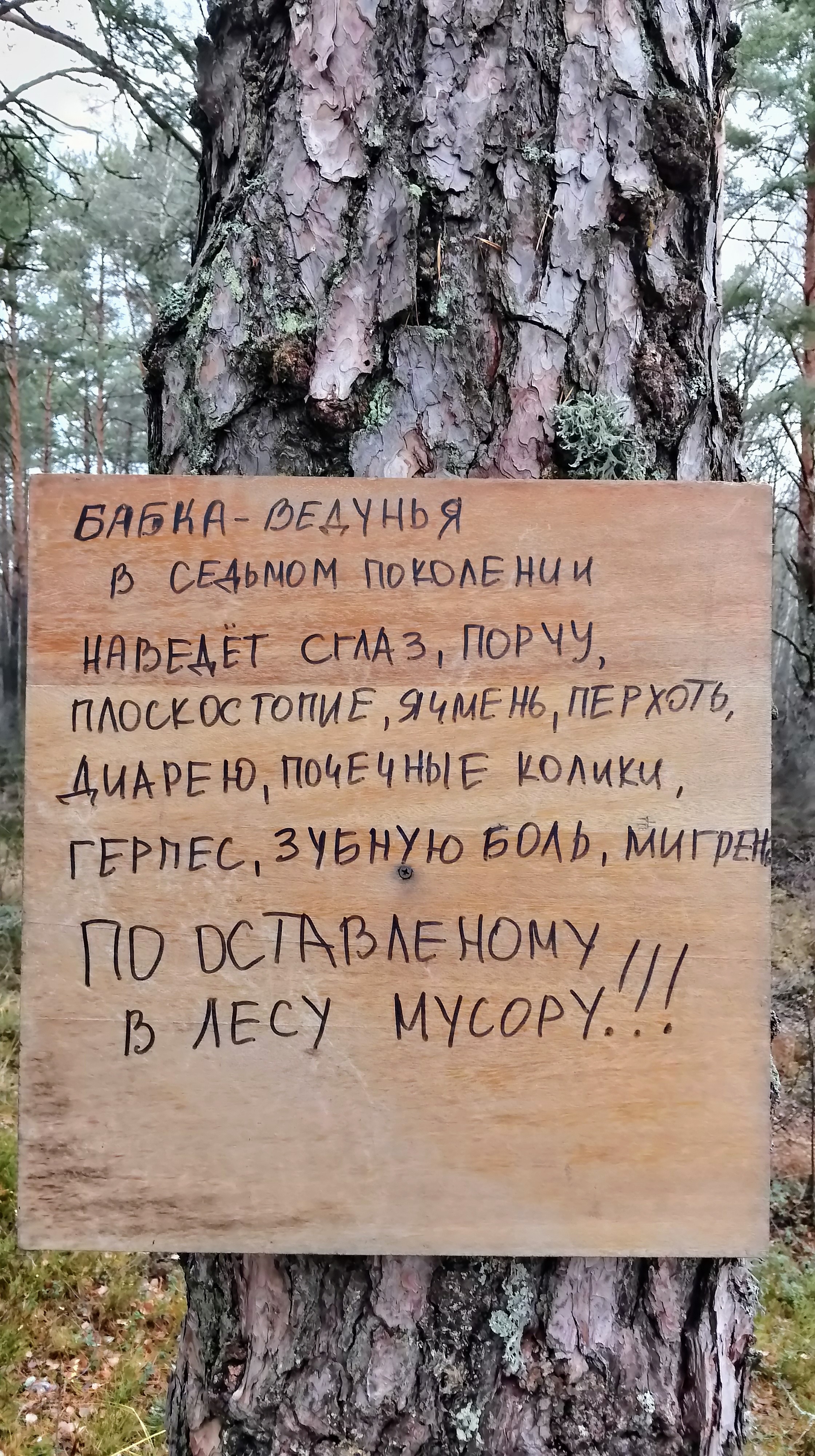 Такие призывы к соблюдению чистоты в лесу бывают совсем не лишними