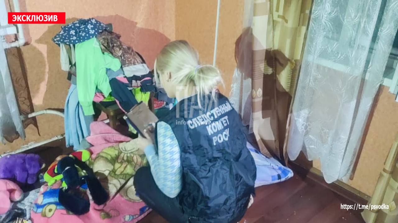 На месте преступления в Великих Луках, где нашли мёртвых детей, обнаружили трупы собак