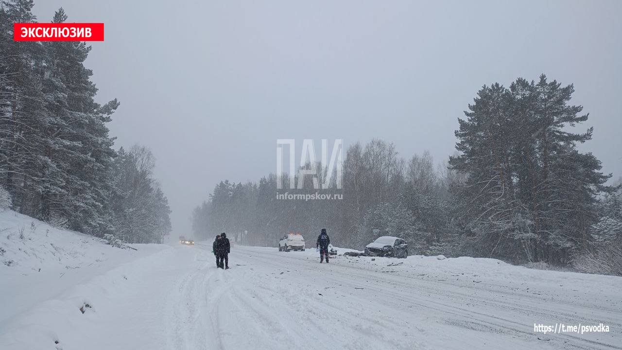 ДТП в Пушкиногорском районе