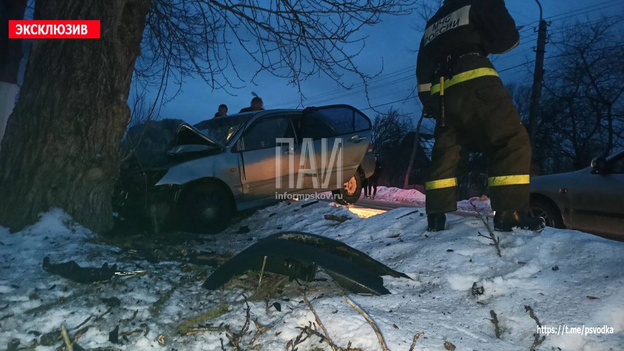 Автомобиль вылетел в кювет и протаранил дерево в Дно