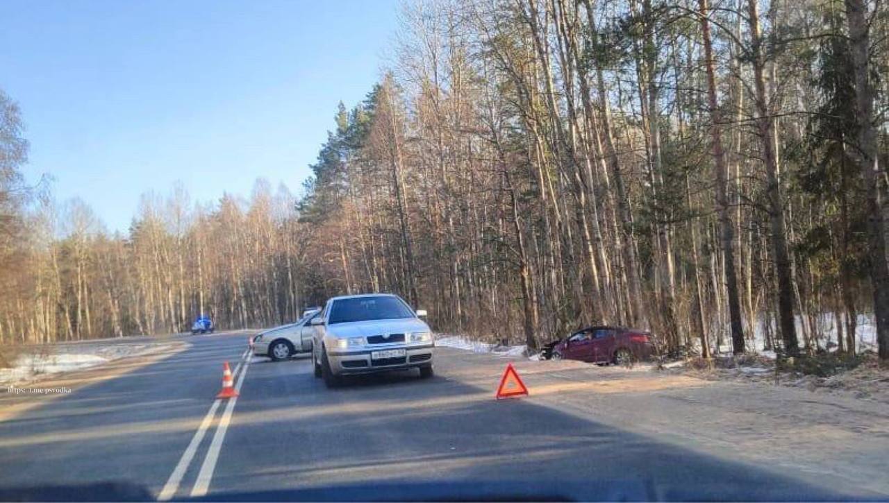 Два человека пострадали в ДТП в Палкинском районе