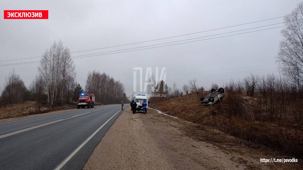 Автомобиль вылетел в кювет в Пушкиногорском районе