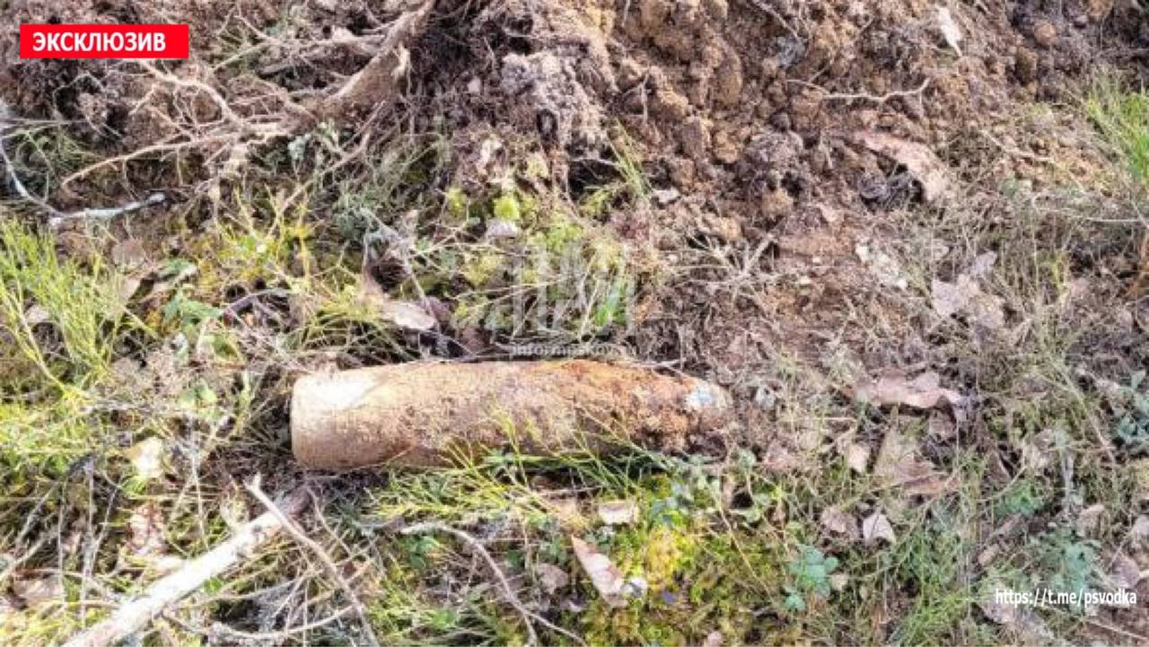 Снаряды времён Великой Отечественной войны нашли в Печорском районе
