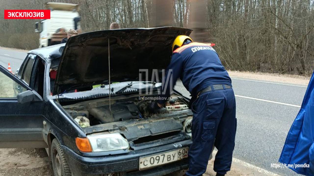 Отец и дочь пострадали в ДТП с лосем в Гдовском районе