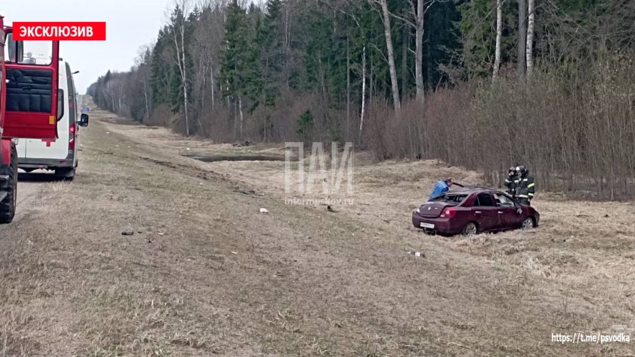 Водитель госпитализирован после опрокидывания автомобиля в Невельском районе