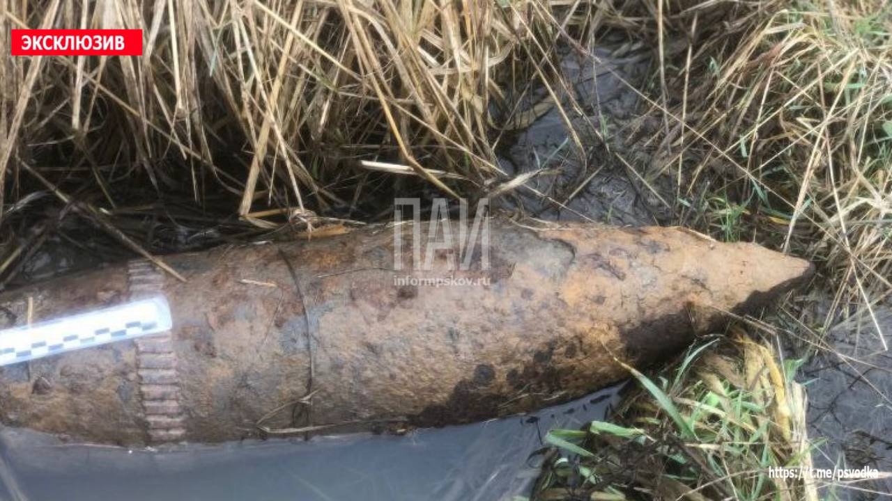 Снаряд в Палкинском районе