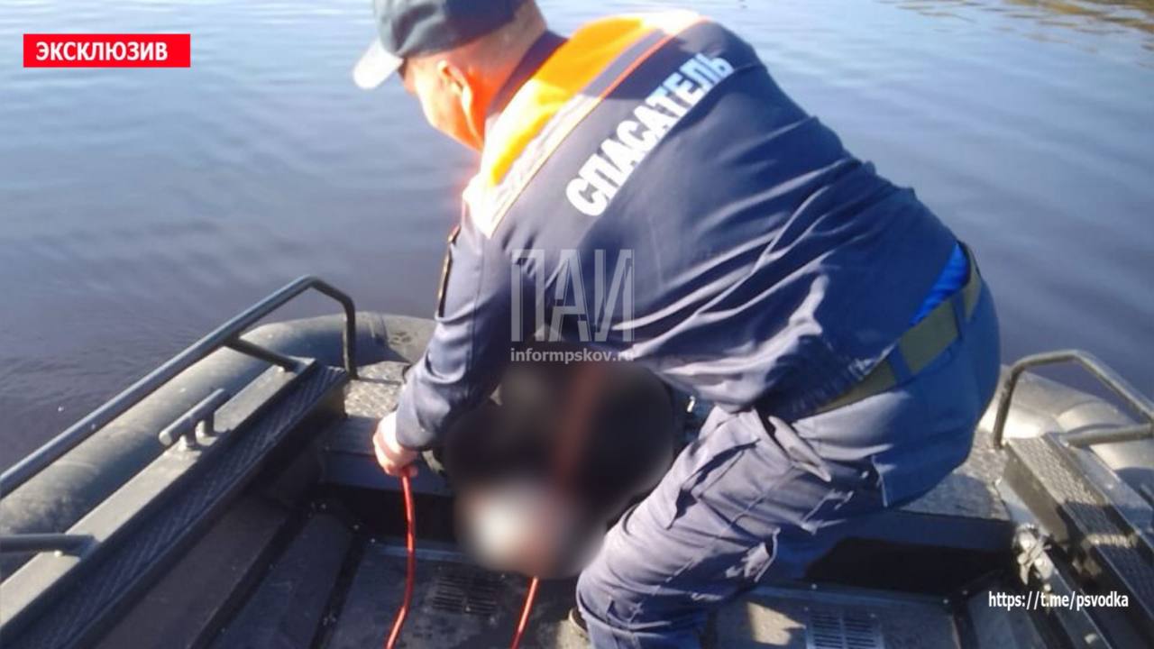 Труп рыбака подняли из реки Великой в Псковском районе