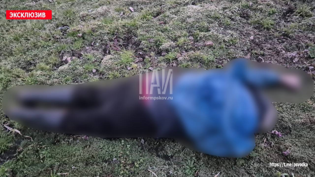 Труп рыбака нашли в себежском озере