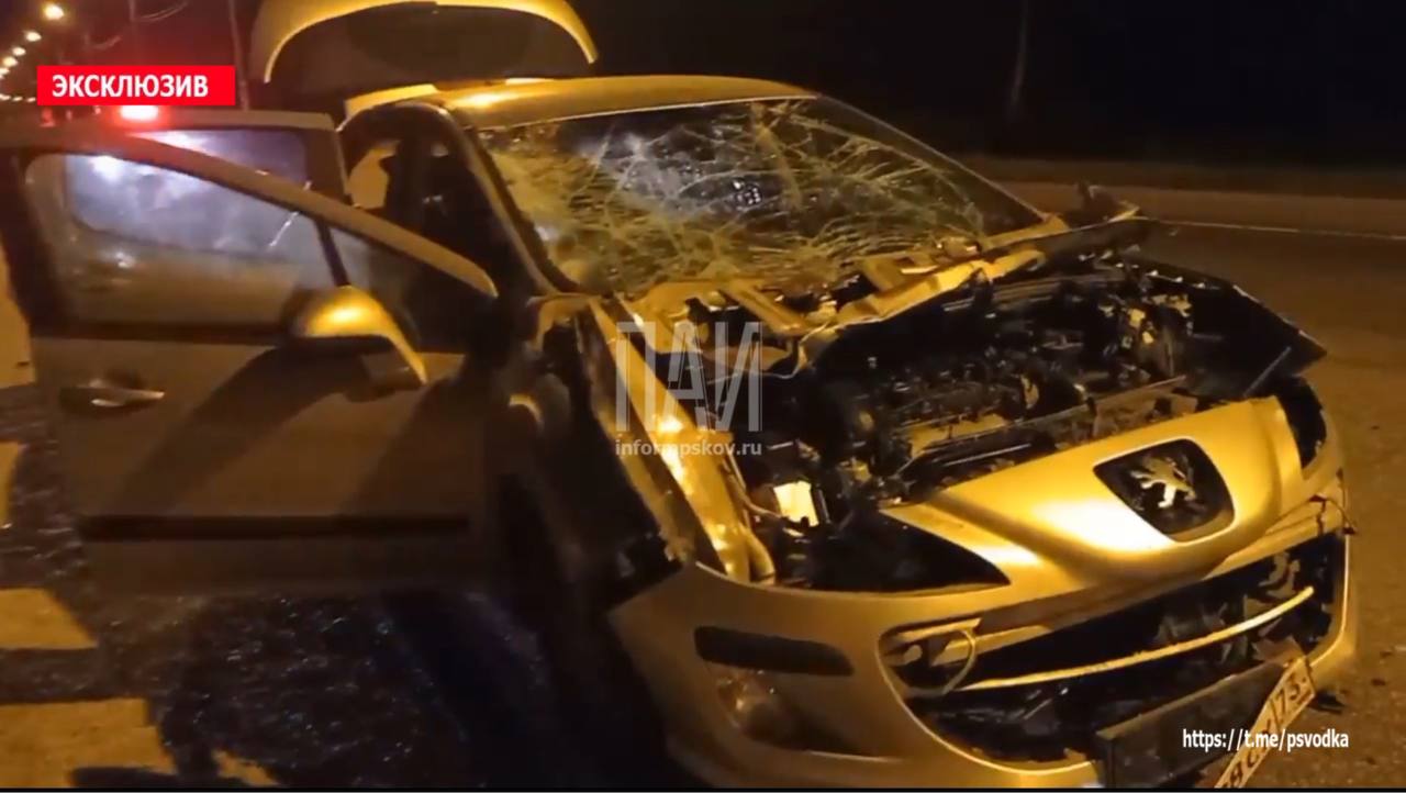 Лось погиб из-за столкновения с автомобилем на трассе в Опочецком районе