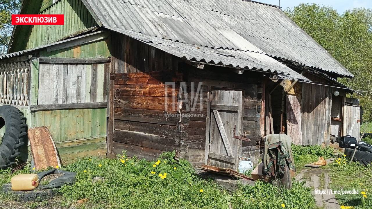 В Бежаницах женщина зарезала сожителя и его любовницу, застав их в постели