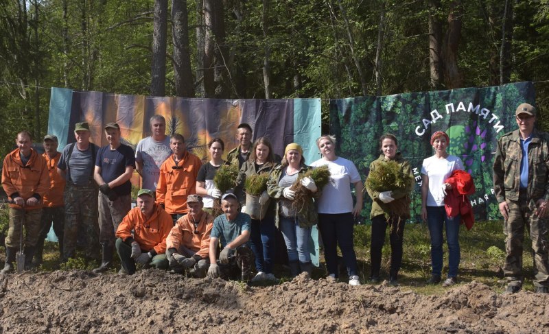 Шесть тысяч сосен высадили в Псковском районе в рамках Международной акции «Сад памяти»