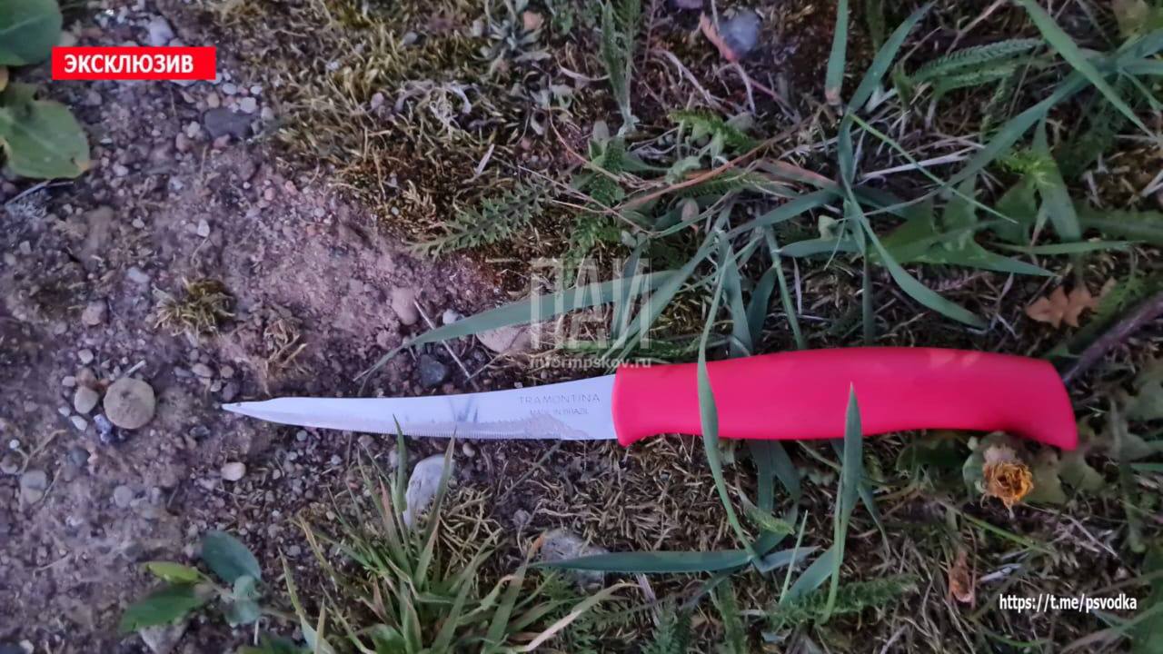 Ножевое ранение в Плюсском районе