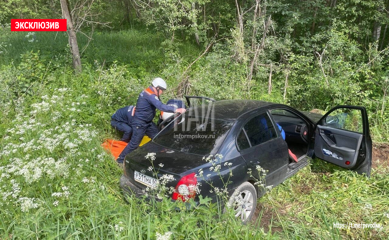 Водитель пострадал в ДТП в Палкинском районе