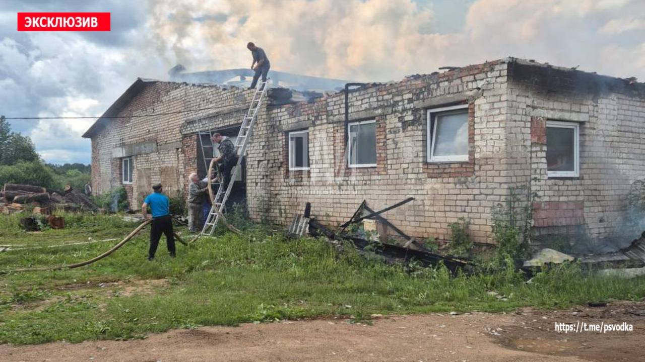 Пожар на скотном дворе