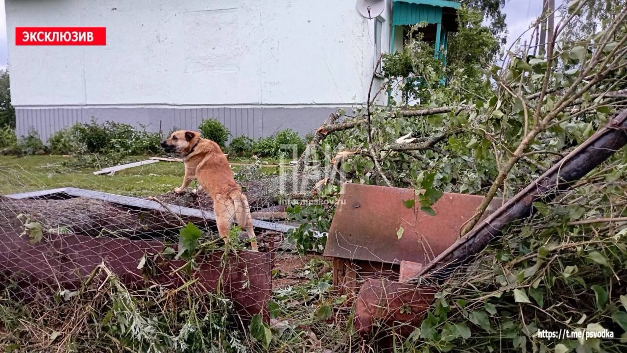 Смерч в Невельском районе