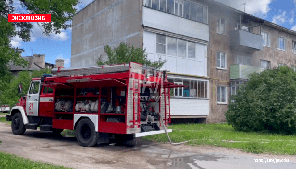 Двух котов спасли пожарные из горящей квартиры в Острове
