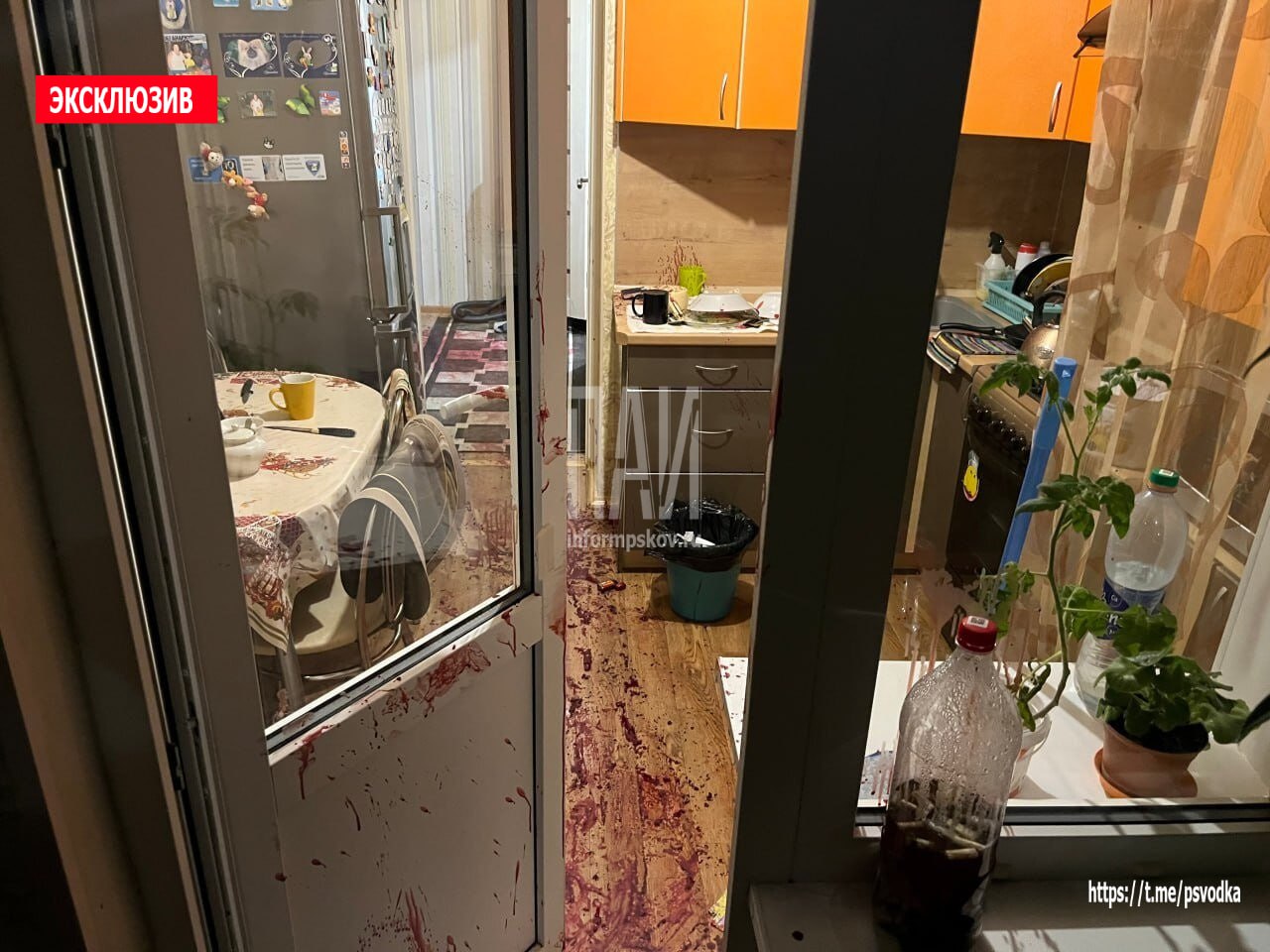 В Пскове мужчина подозревается в убийстве супруги