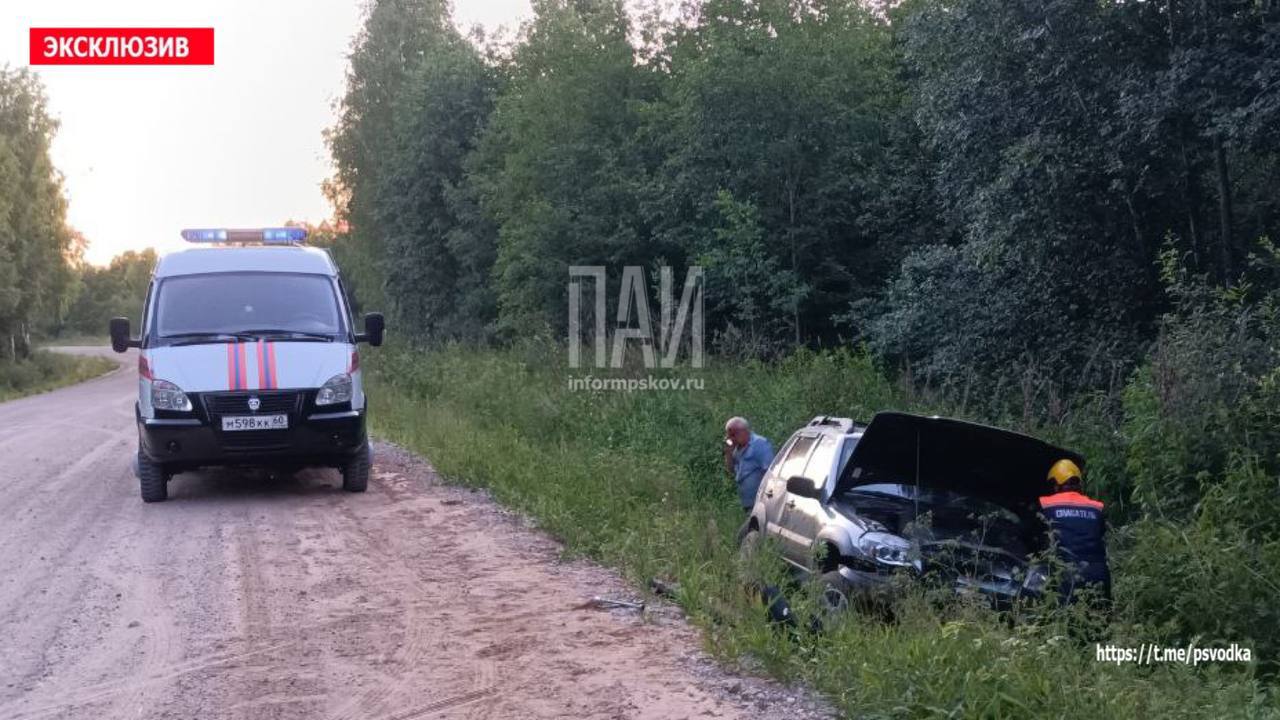 Автомобиль вылетел в кювет в Гдовском районе