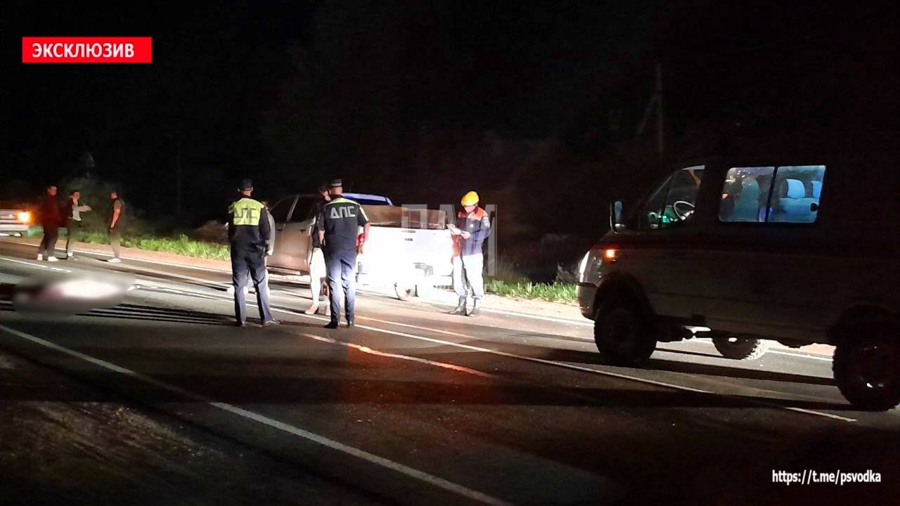 Внедорожник насмерть сбил пешехода в Гдовском районе