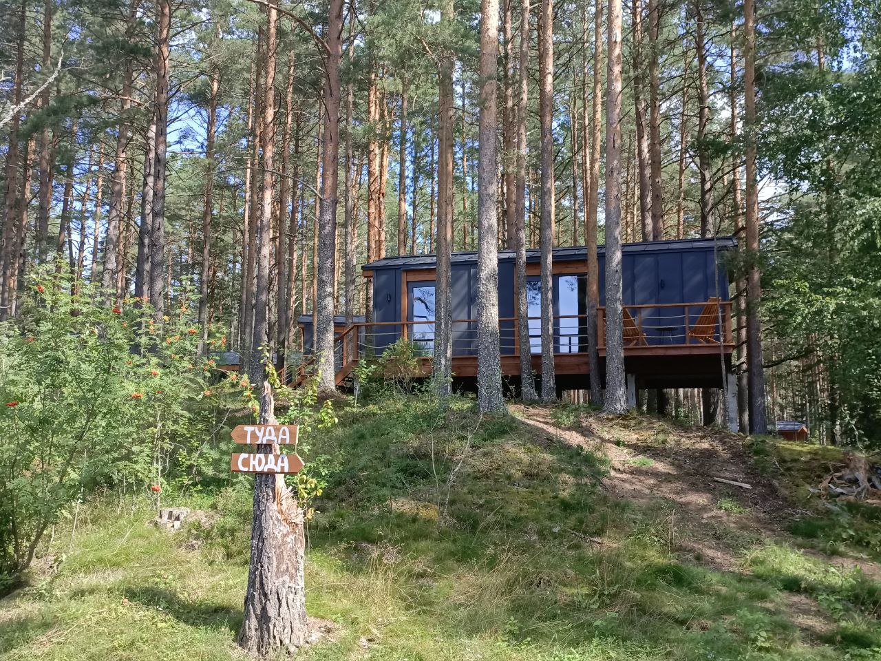 Михаил Ведерников ознакомился с работой глэмпинга под Гдовом