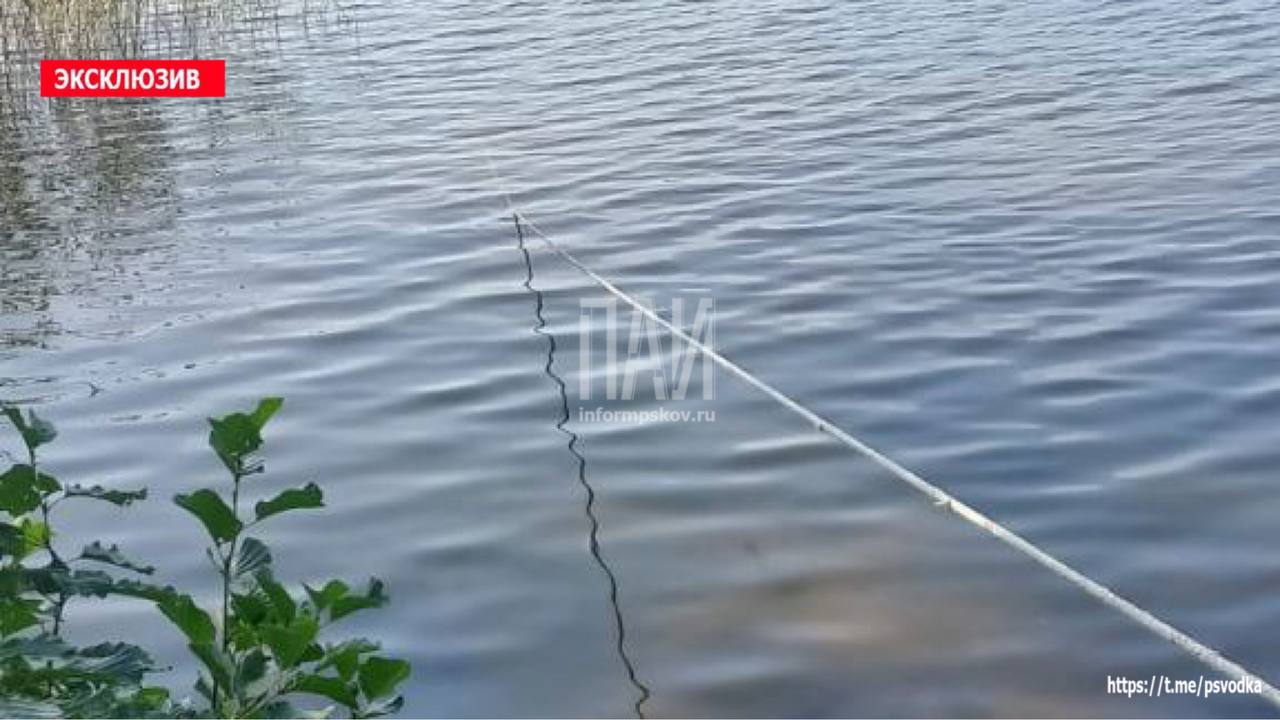 Тело мужчины обнаружили в озере Усвятского района