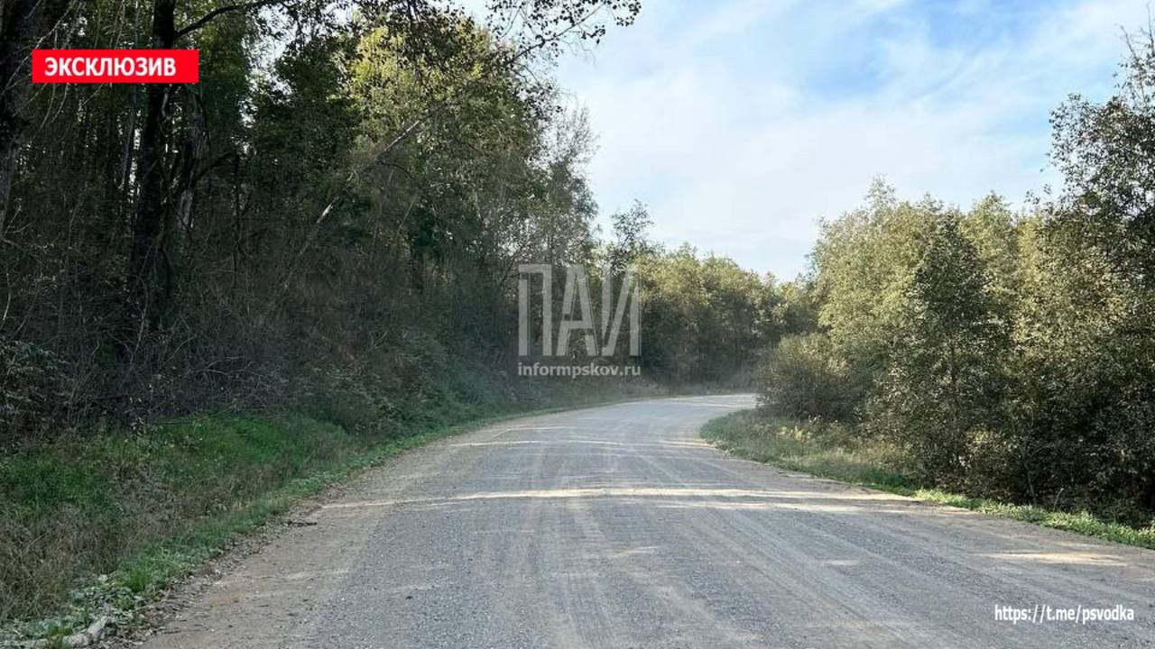 Пассажирка пострадала после опрокидывания автомобиля в ​Стругокрасненском районе