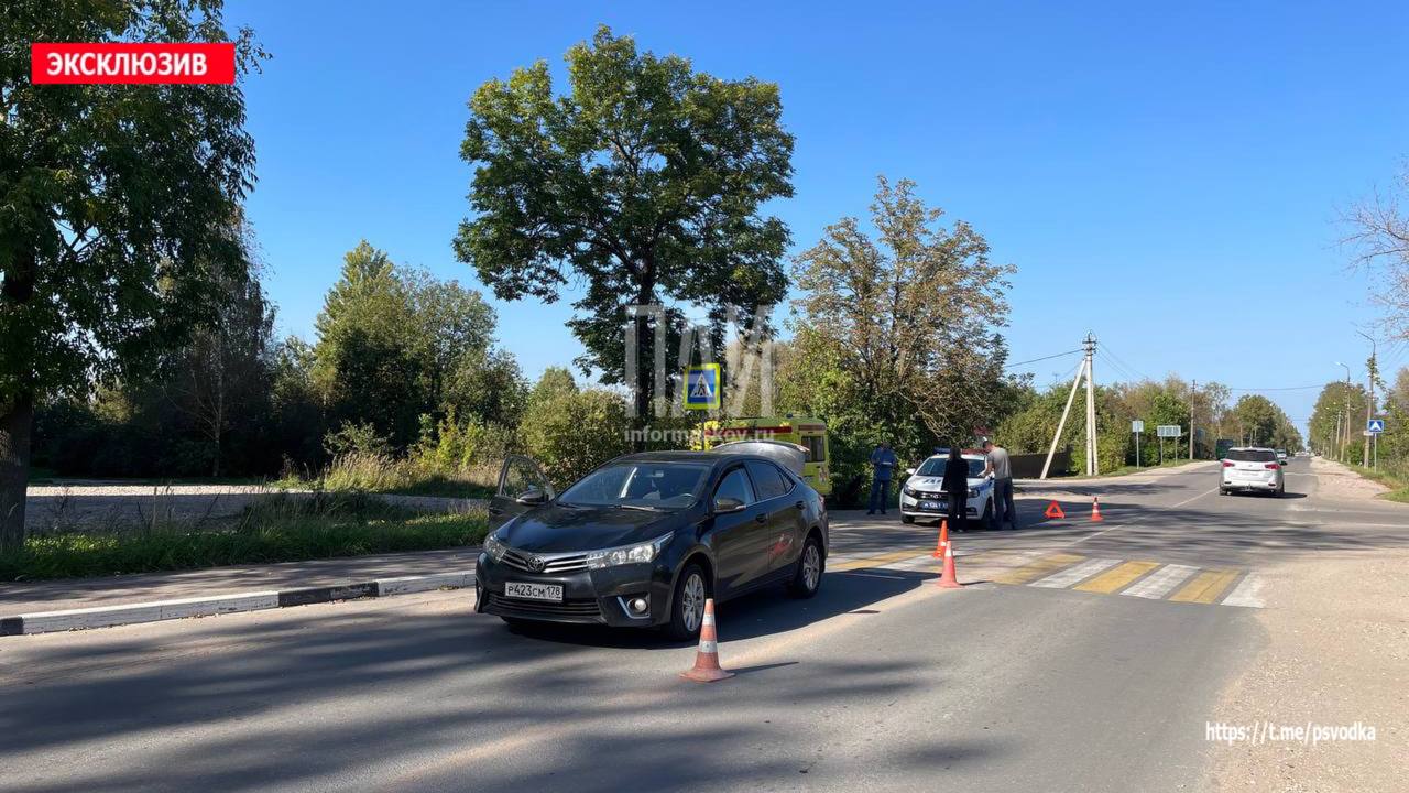 Женщину и ребёнка в коляске сбили на пешеходном переходе в Острове