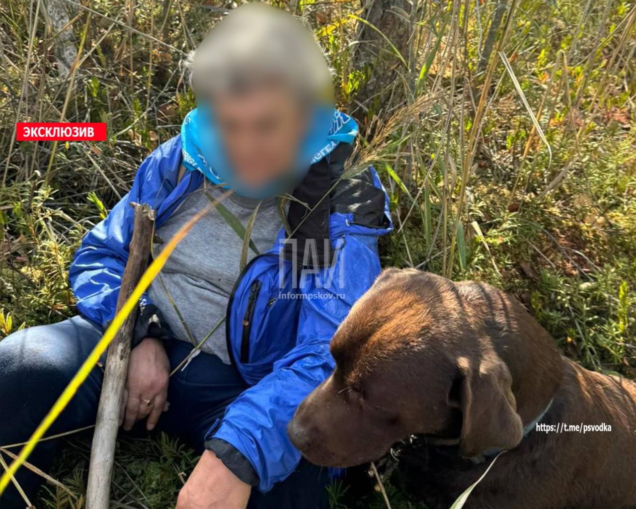 Потерявшуюся в лесу женщину нашли в Псковском районе