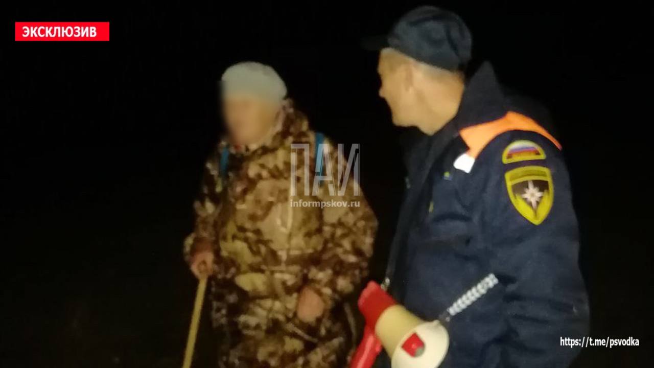 Спасатели нашли пенсионерку, потерявшуюся на псковском болоте