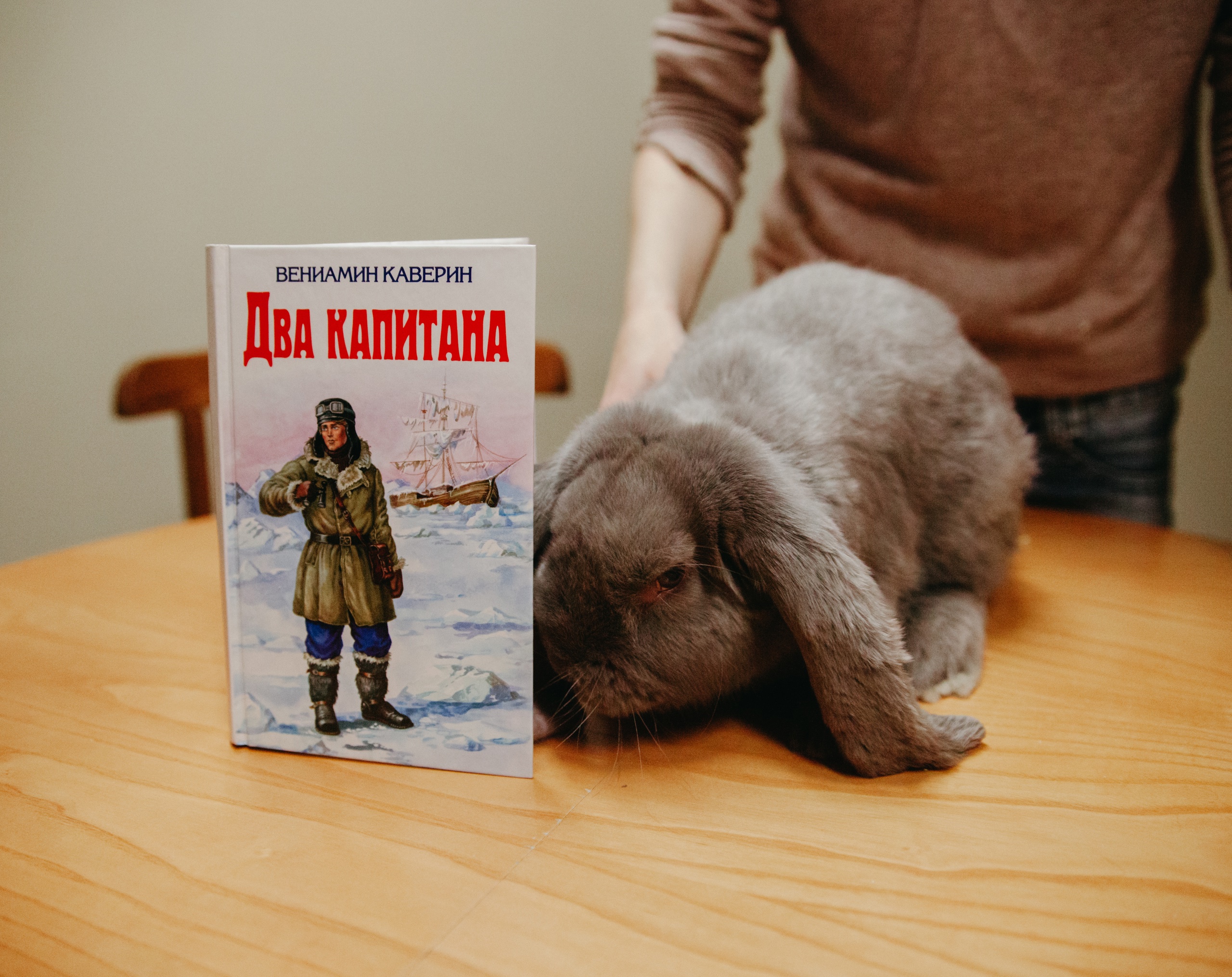 Кролик Капитан стал талисманом Каверинки