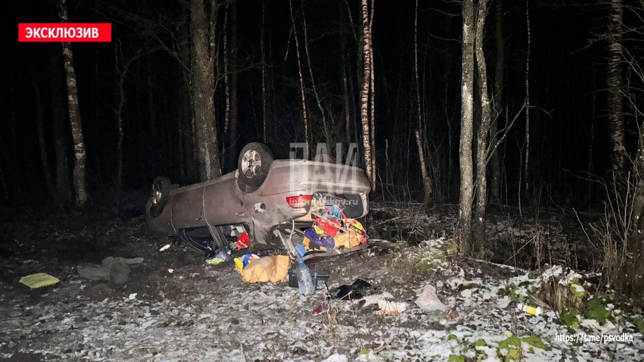 Два человека пострадали в ночном ДТП в Плюсском районе