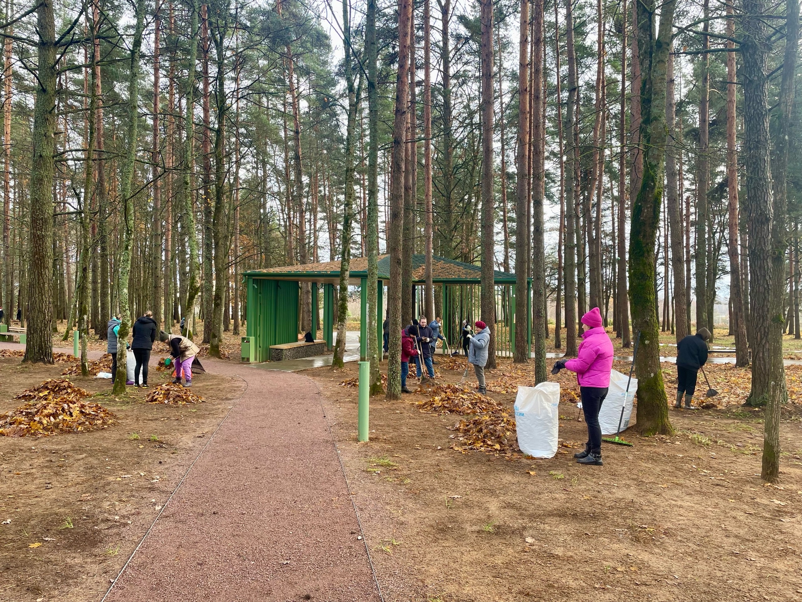Более ста человек приняли участие в субботнике в Пушкинских Горах