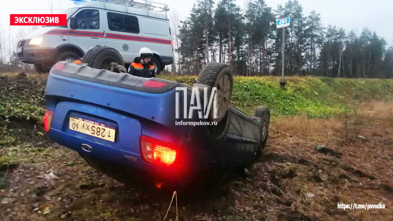 Автомобиль вылетел в кювет в Псковском районе 