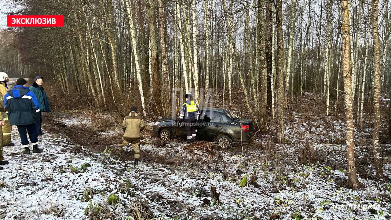 Водитель пострадал при вылете автомобиля в кювет в Плюсском районе
