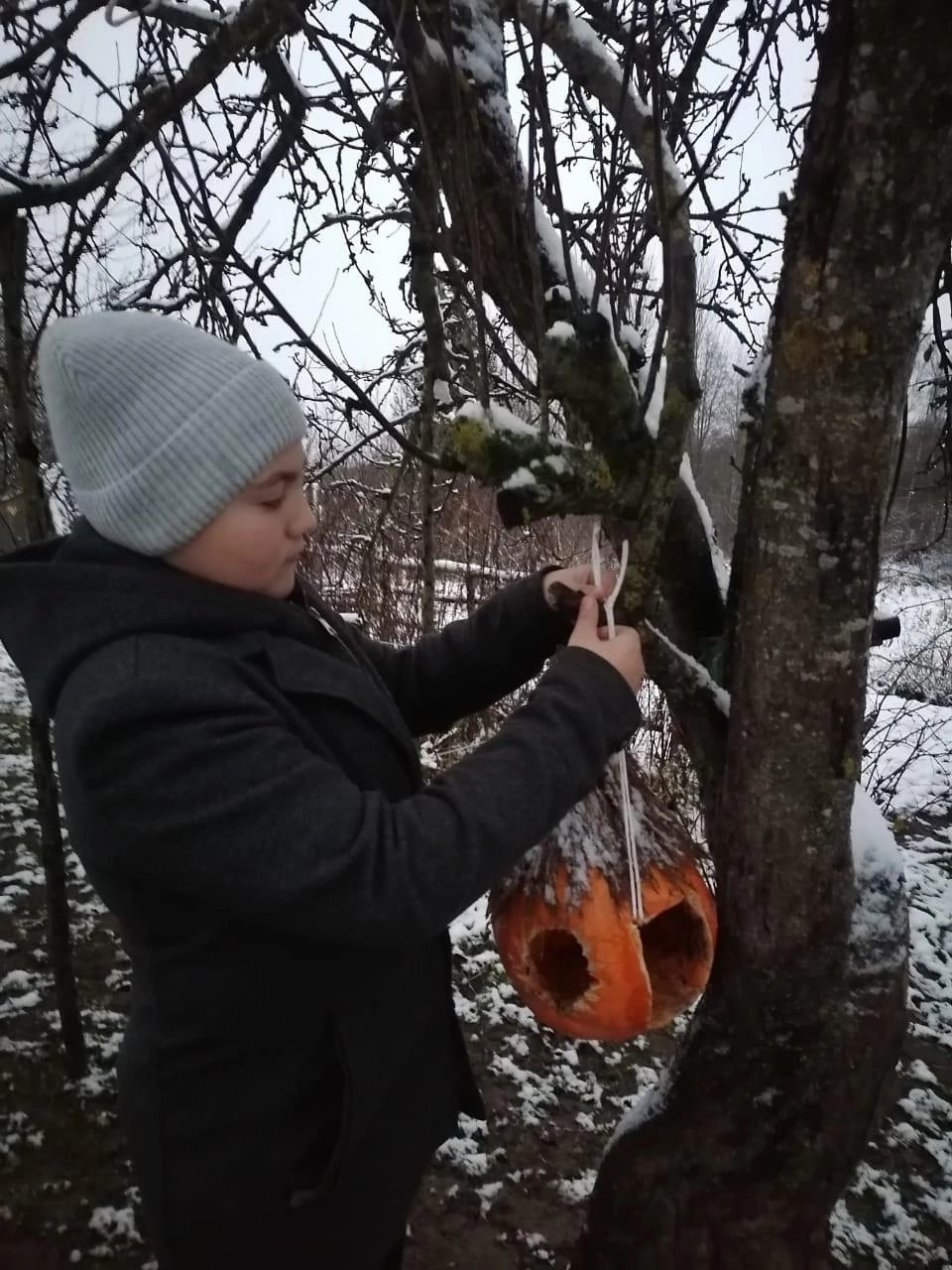 Полностью съедобные кормушки для птиц и белок развесили бежаницкие школьники