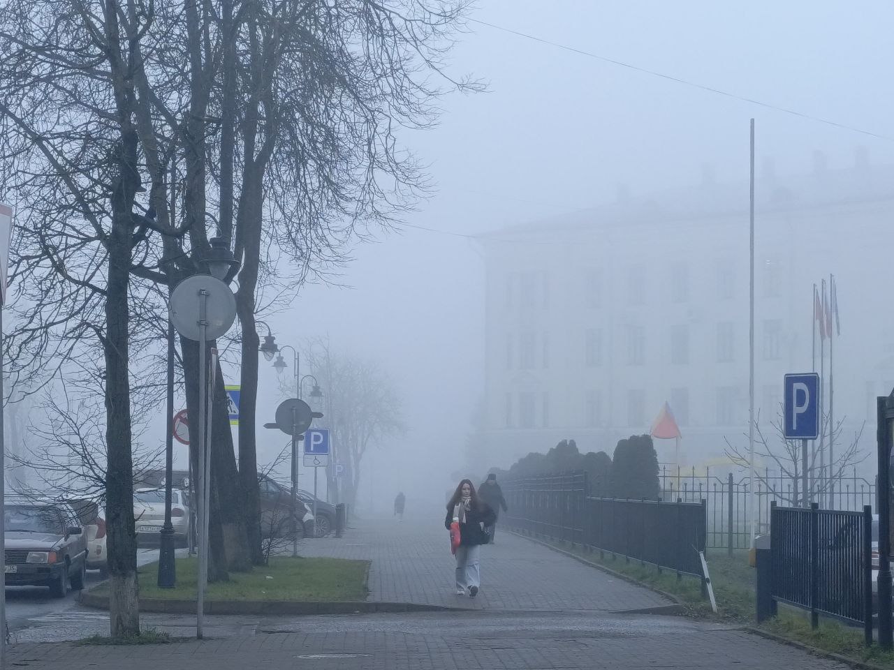 Туман в Пскове