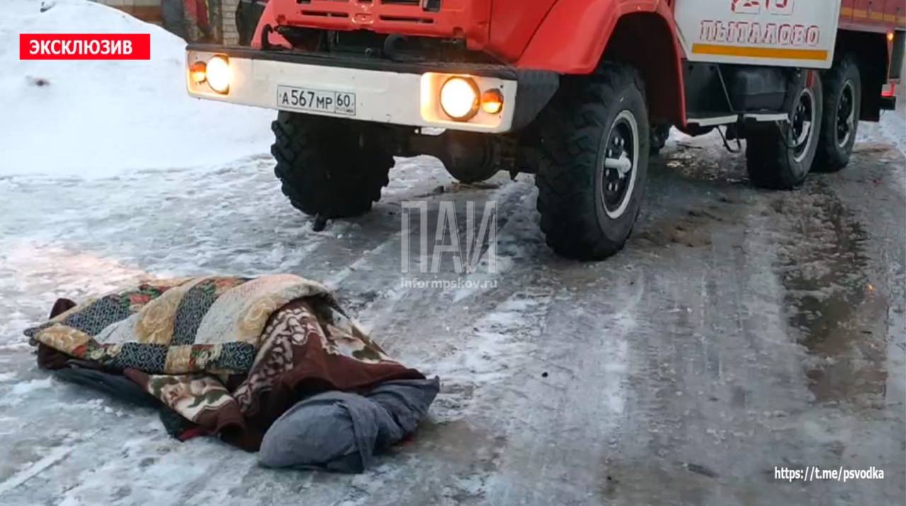 Водитель госпитализирована, собака погибла в результате ДТП с участием фуры в Пыталовском округе 