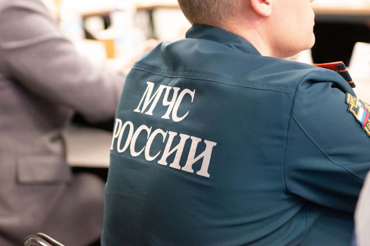 Заседание совета по развитию добровольчества на территории Псковской области